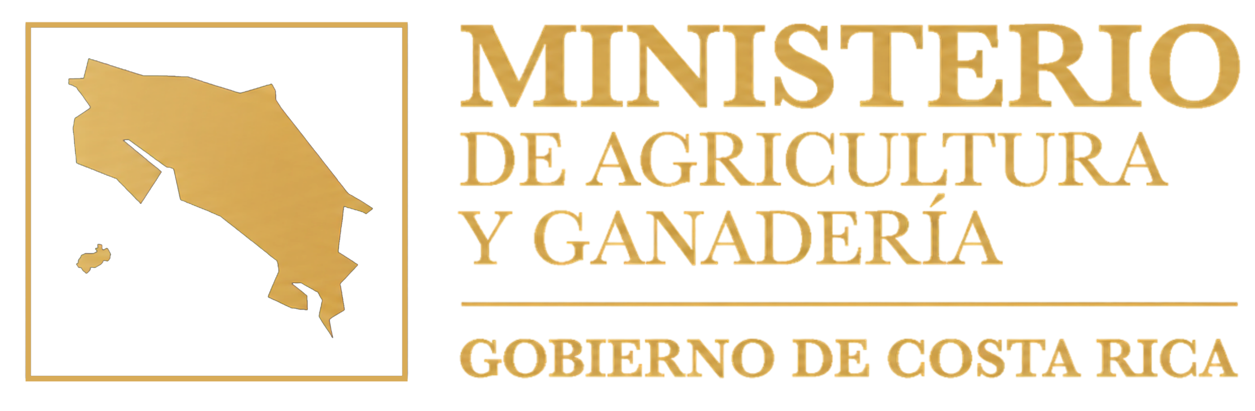 Logo MAG DORADO Transparente