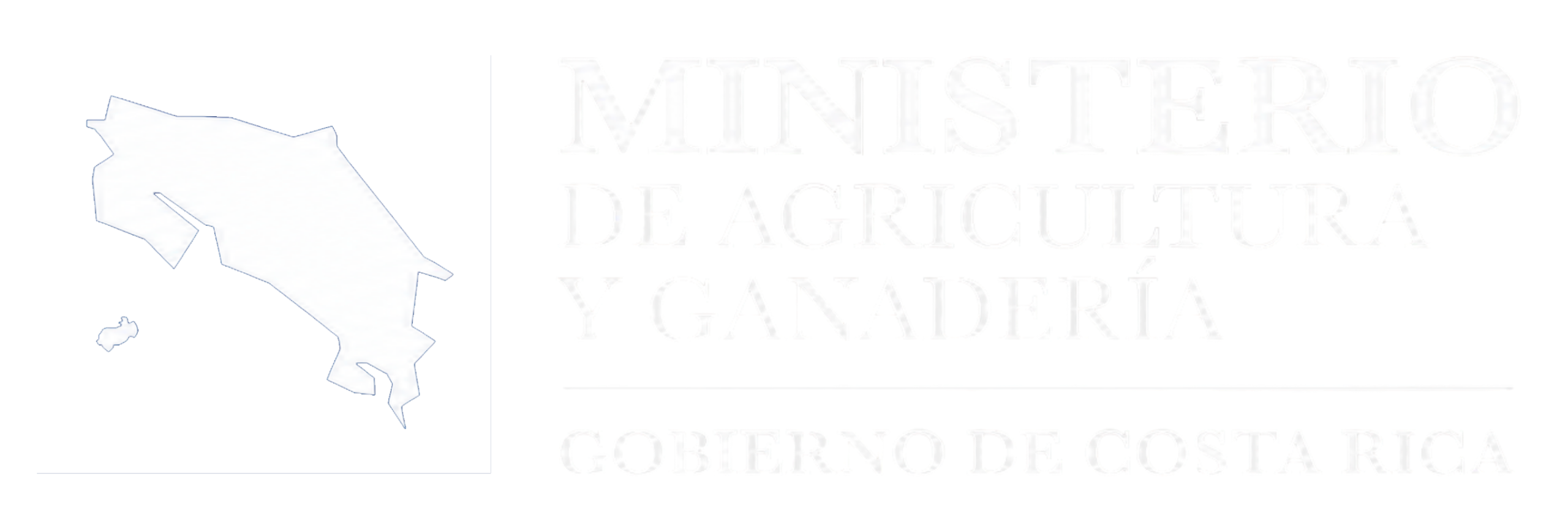 Logo blanco transparente