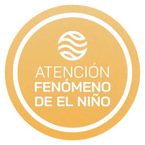 Boton niño